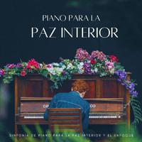 Sinfonía De Piano Para La Paz Interior Y El Enfoque