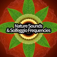 Nature Sounds & Solfeggio Frequencies