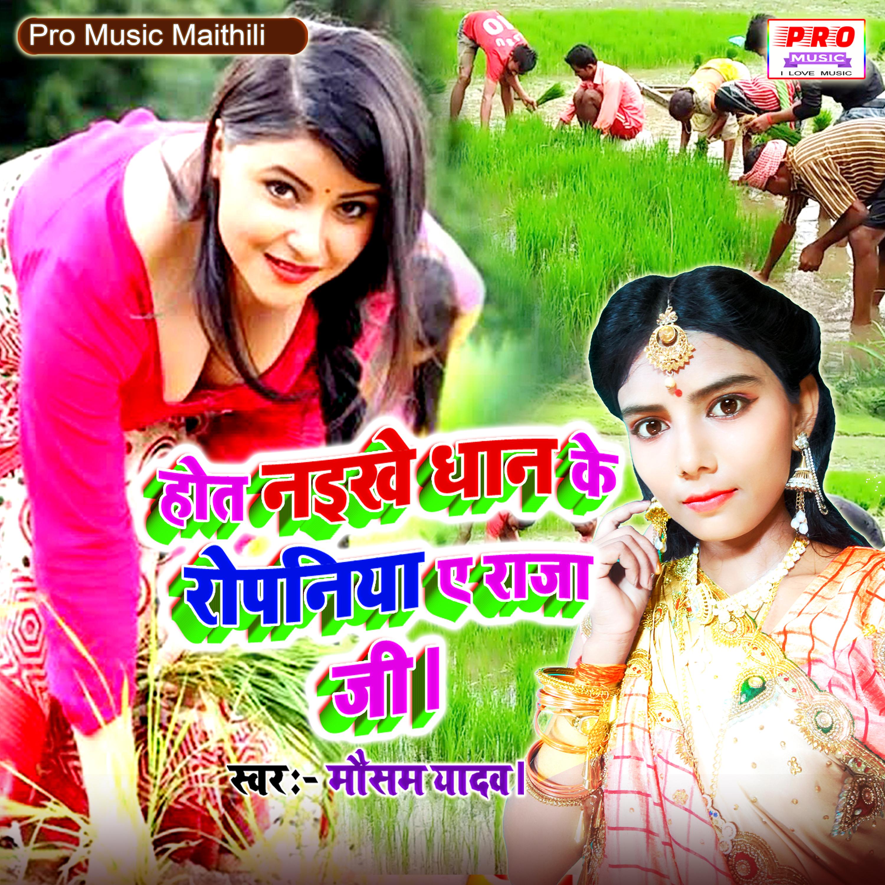 Hot Naikhe Dhan Ke Ropaniya E Raja Je