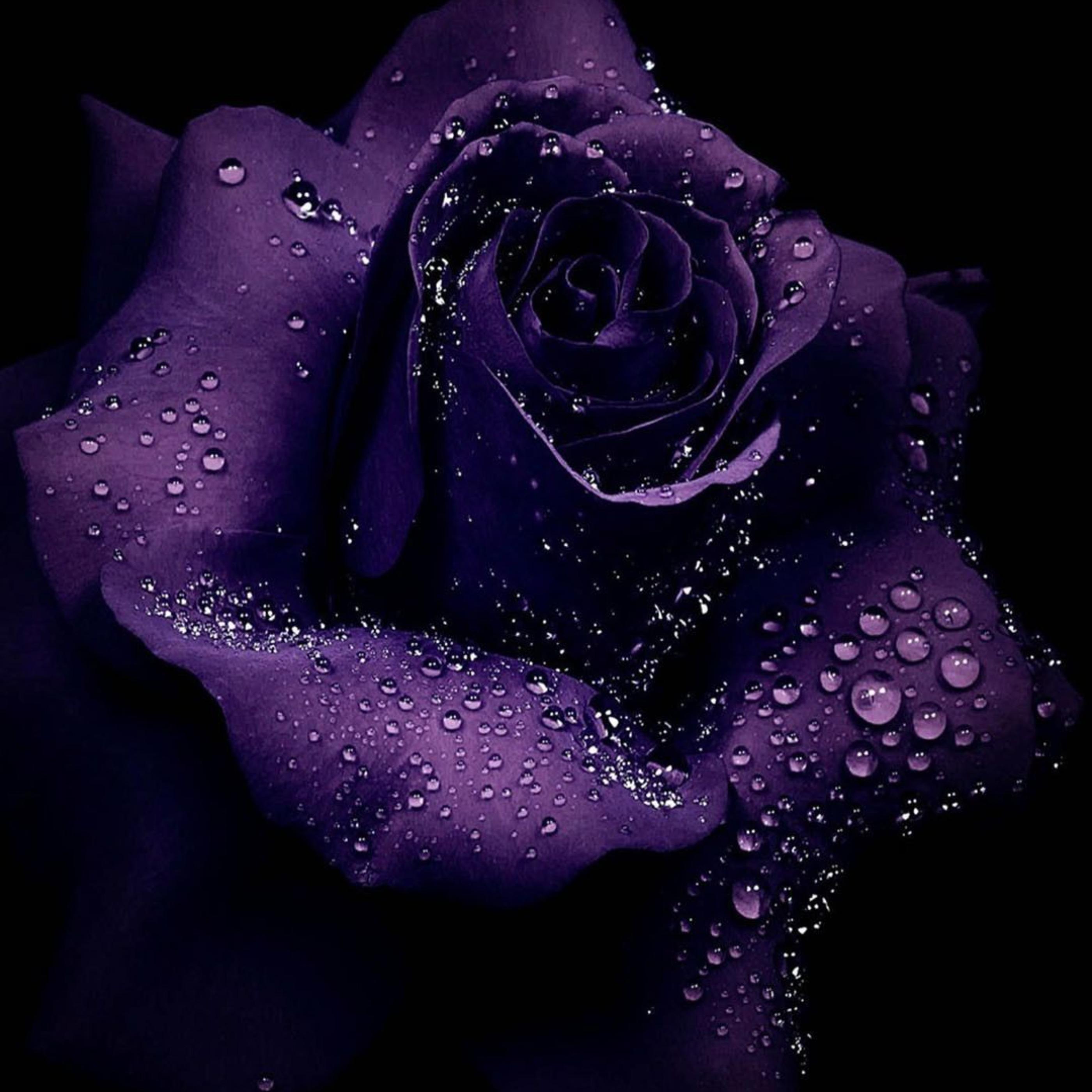 Soweto Amapiano Club Version (Cover)