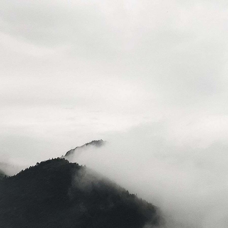 饱眼福封面