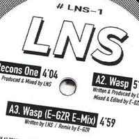 LNS