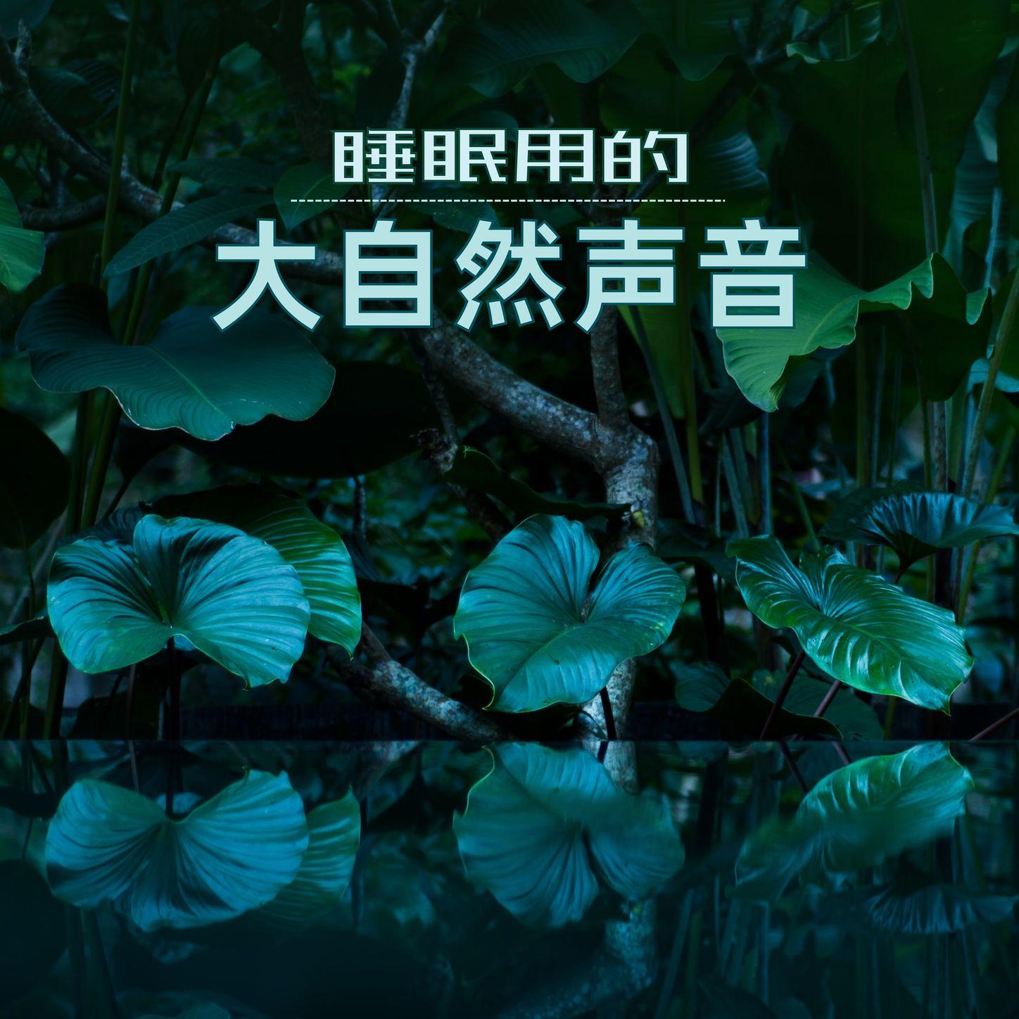 湖边封面