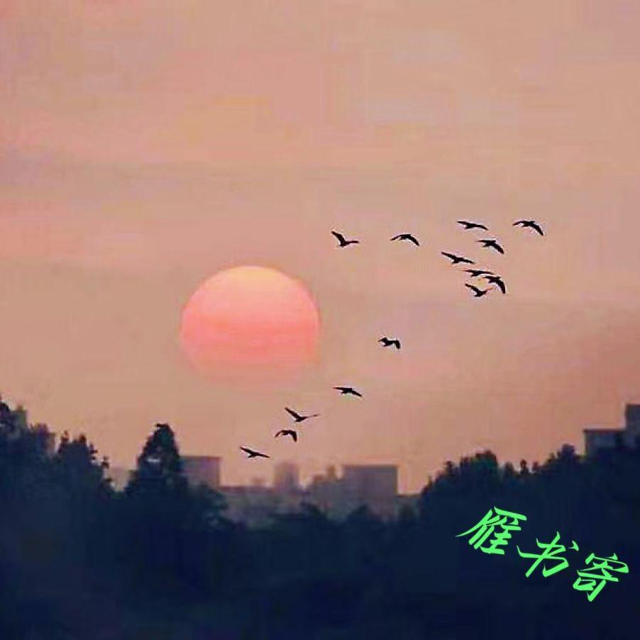 雁书 - 陈仕君封面