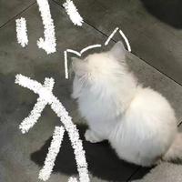 奶冻车厘子