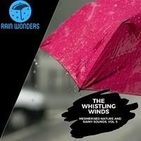 The Whistling Winds - Mesmerised Nature and Rainy Sounds, Vol. 5