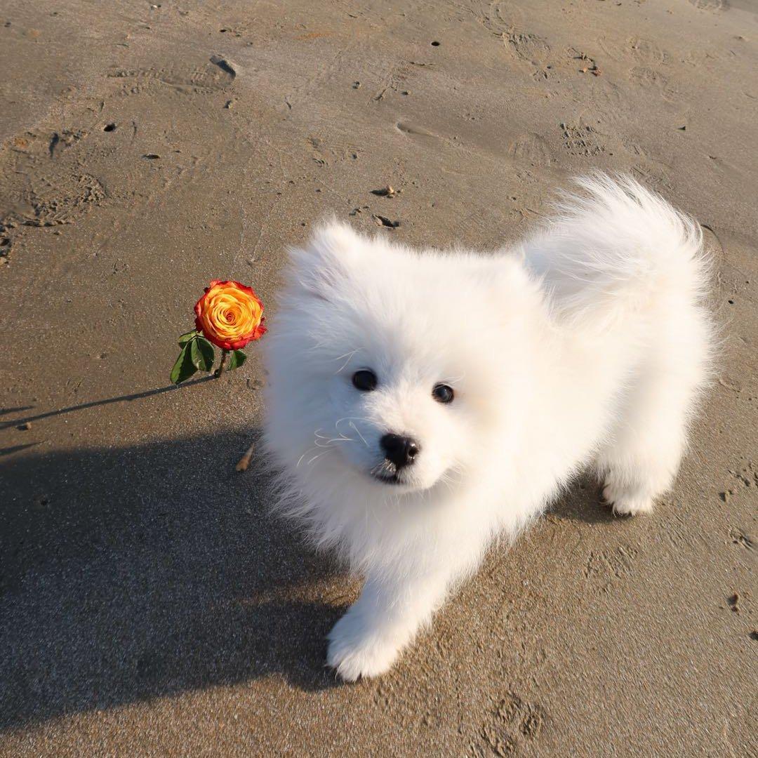 今天吃什么好吃的嗷