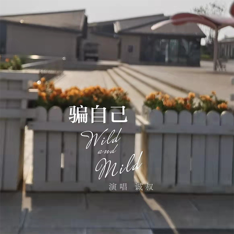 骗自己 (伴奏)封面
