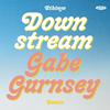 Gabe Gurnsey - Downstream (Gabe Gurnsey Remix)