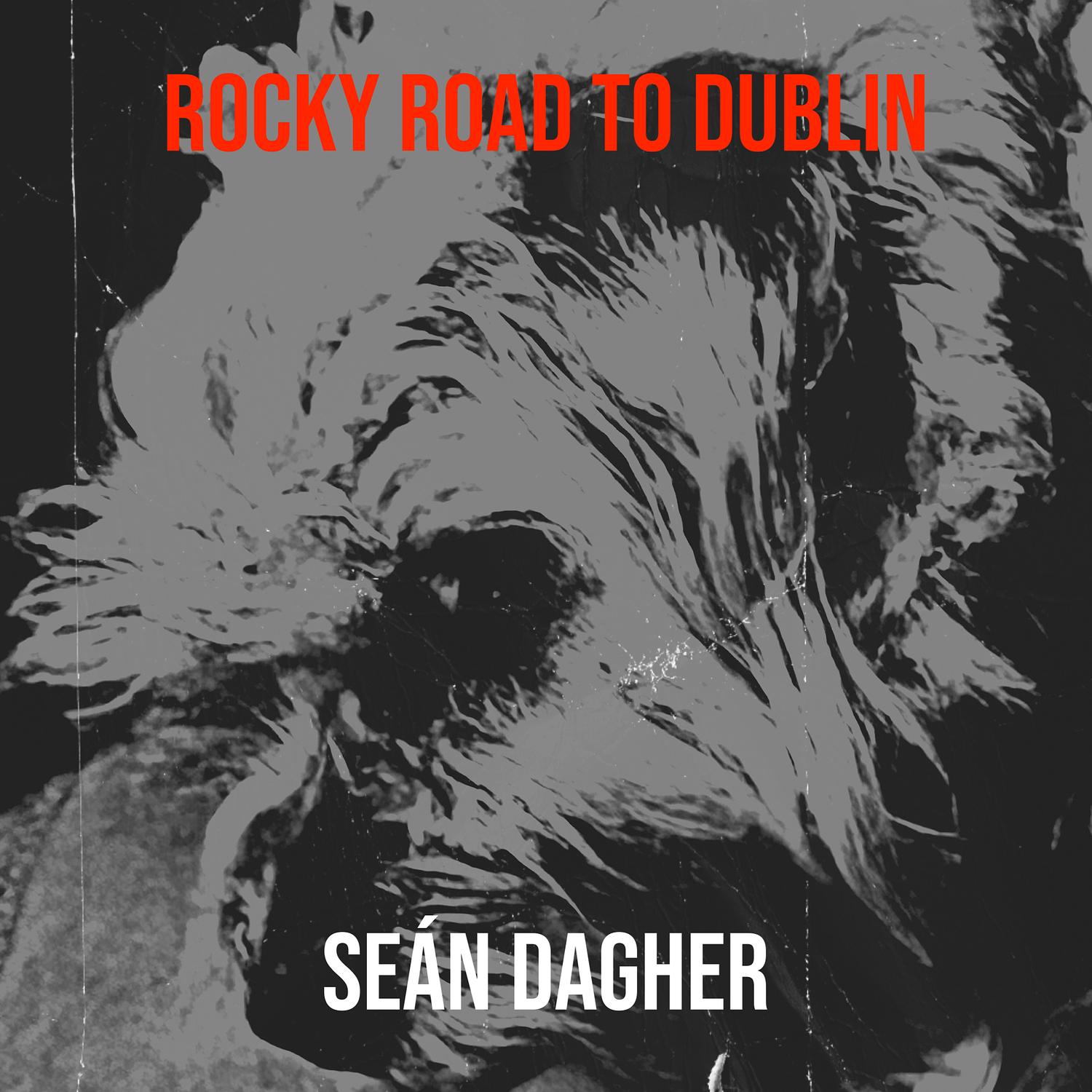 Rocky Road to Dublin