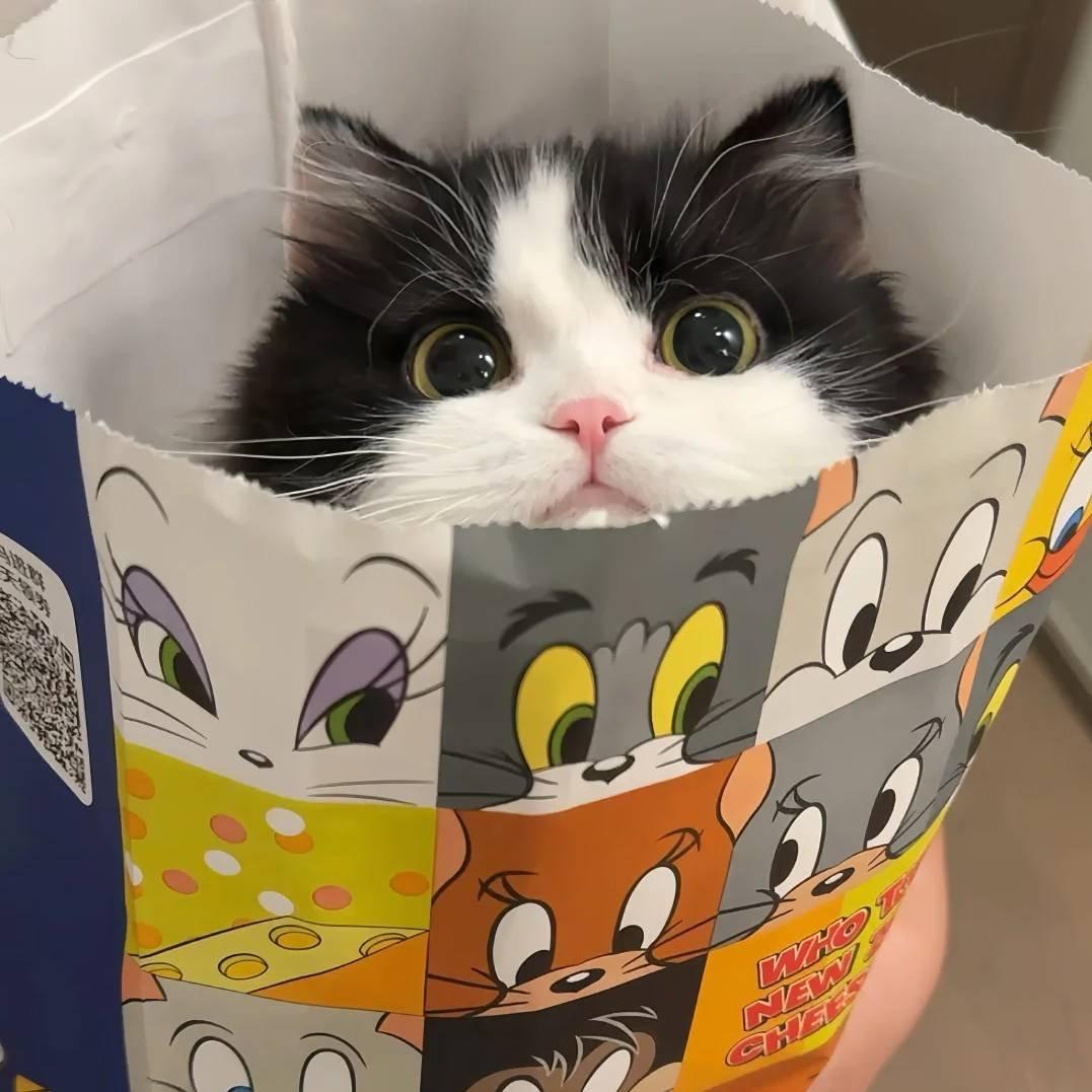 --以爱之名你还愿意吗--