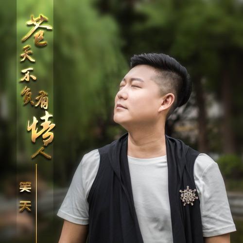 苍天不负有情人封面