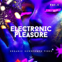 Electronic Pleasure, Vol. 1 (Organic Downtempo Vibes)