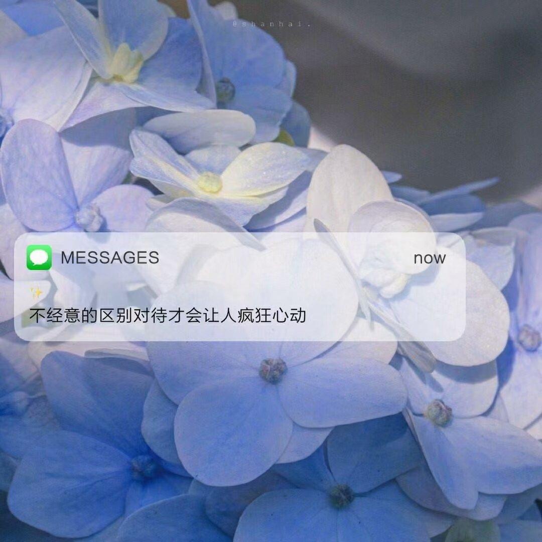 Young Captain-队长宝藏music.