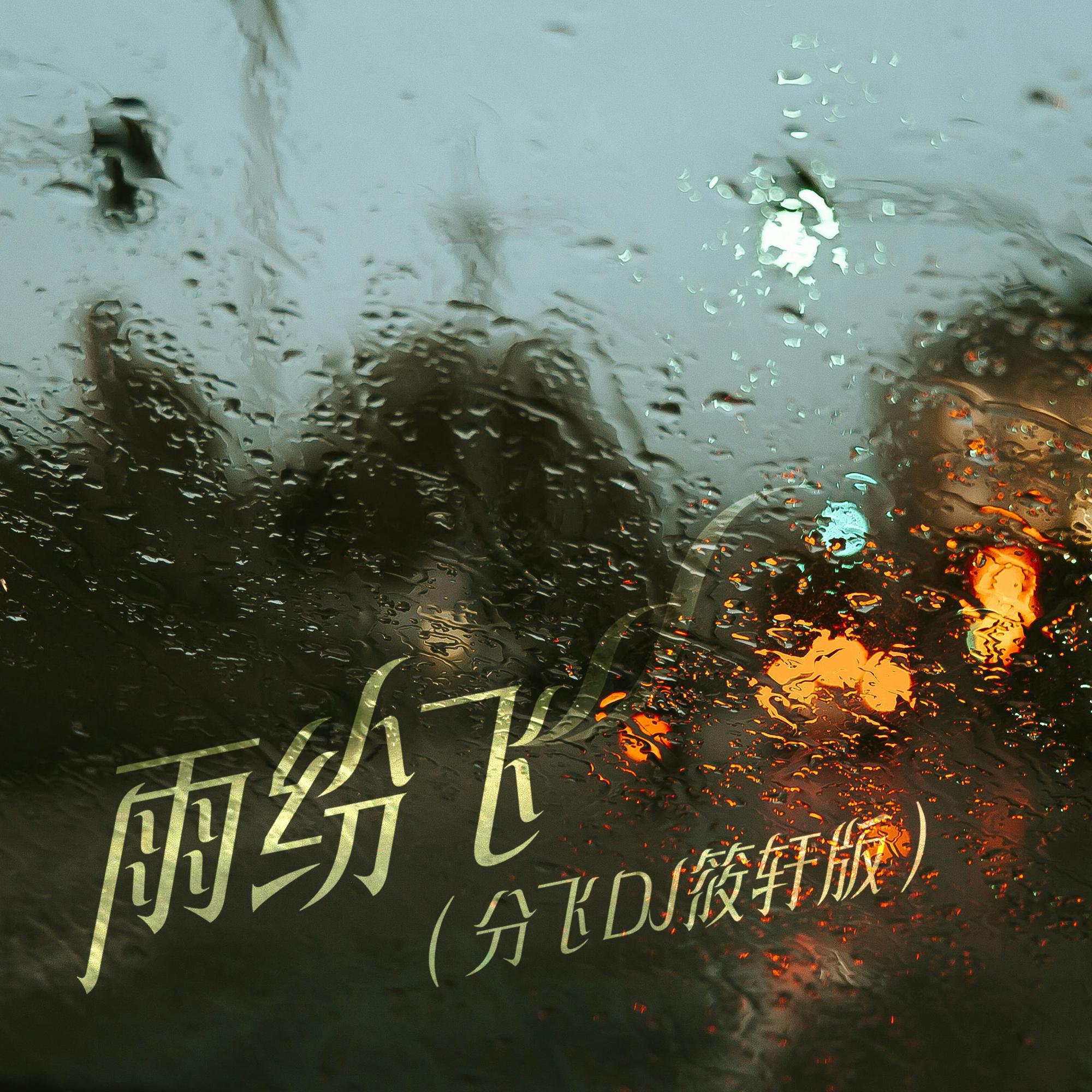 雨纷飞 (DJ版伴奏)封面