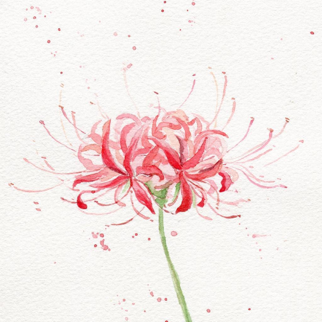 iwix【待整编状态】