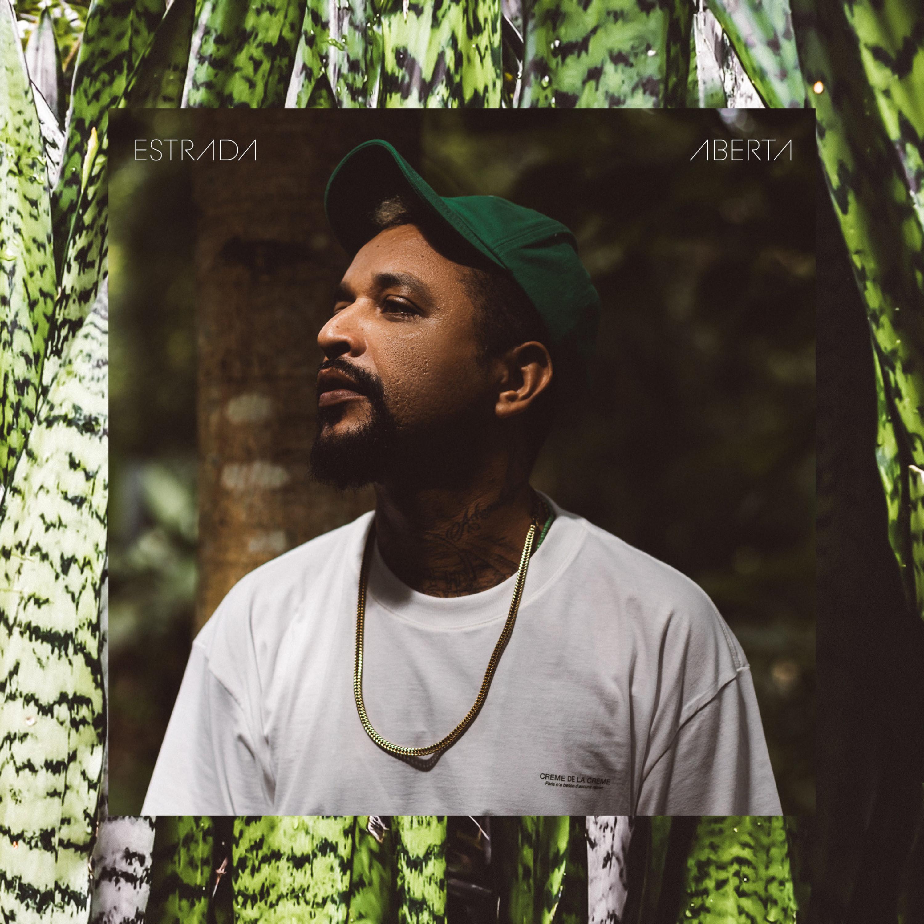 Bagaça essa Desgraça