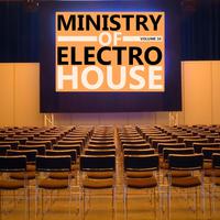 Ministry of Electro House, Vol. 10