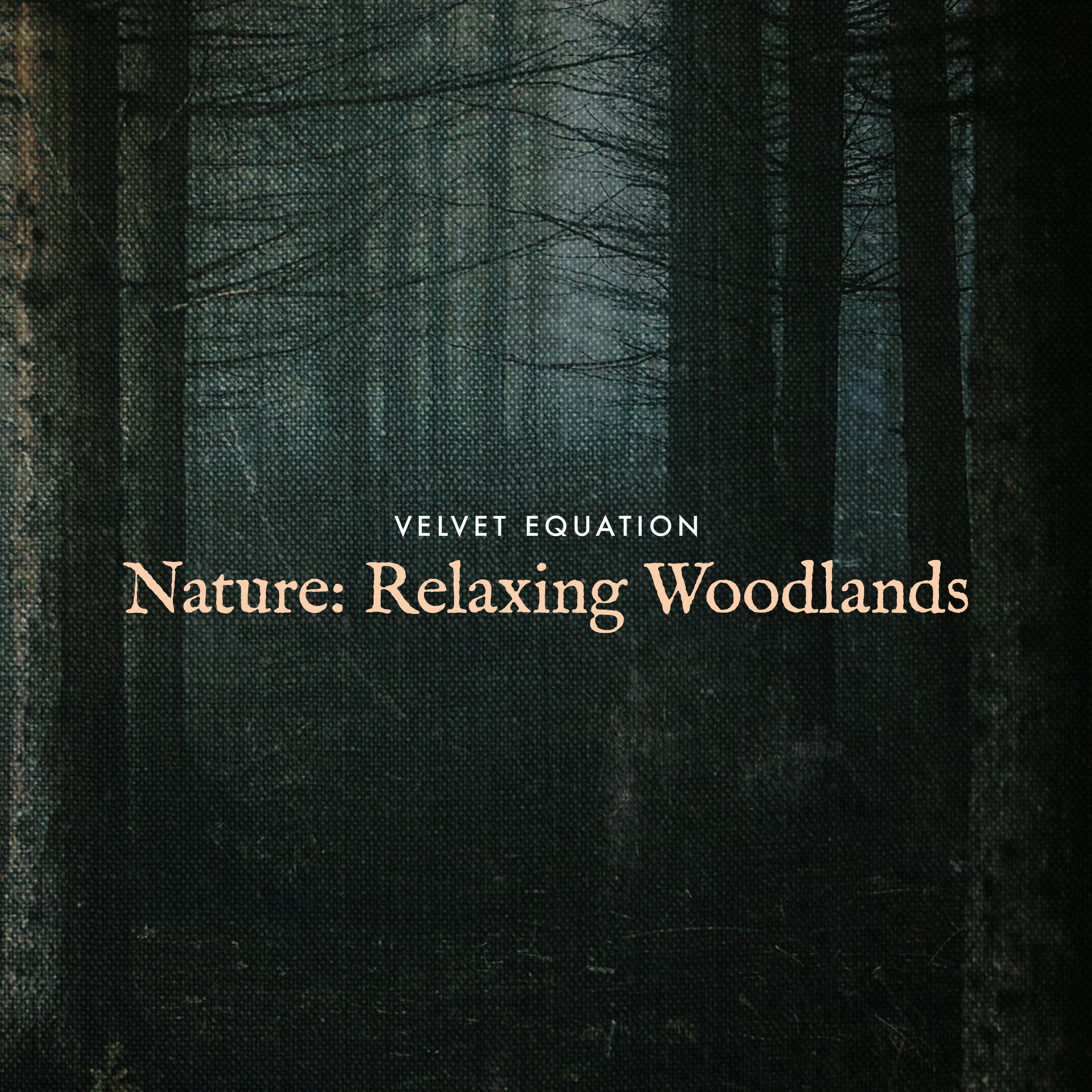 Drizzly Day Nature_Velvet Equation_Nature: Relaxing Woodlands | 在线播放_Drizzly Day Nature歌词_Drizzly Day Nature下载 | 网易云音乐