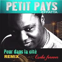 Peur Dans La Cite (Remix)