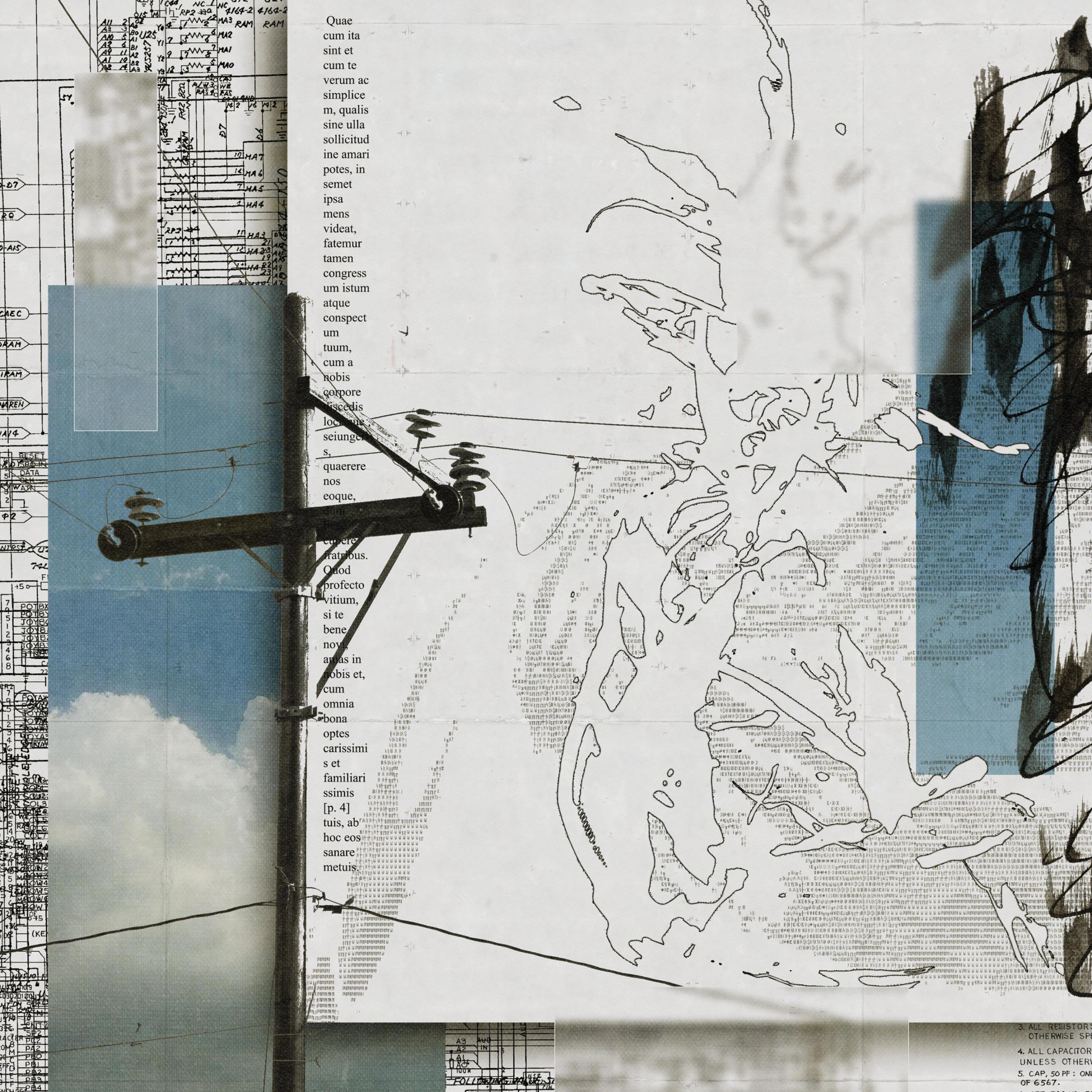 Artist | Pretty Patterns