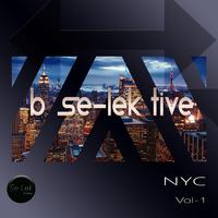 B Se-Lek tive NYC, Vol. 1