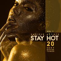 Stay Hot, Vol. 1 (20 **** House Tunes)