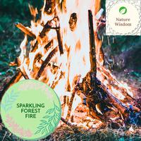 Sparkling Forest Fire