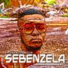 Fiso el Musica - Sebenzela (feat. Nyathi & Msheke)