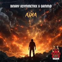 ARIA (Binary Asymmetrix & Gamma)