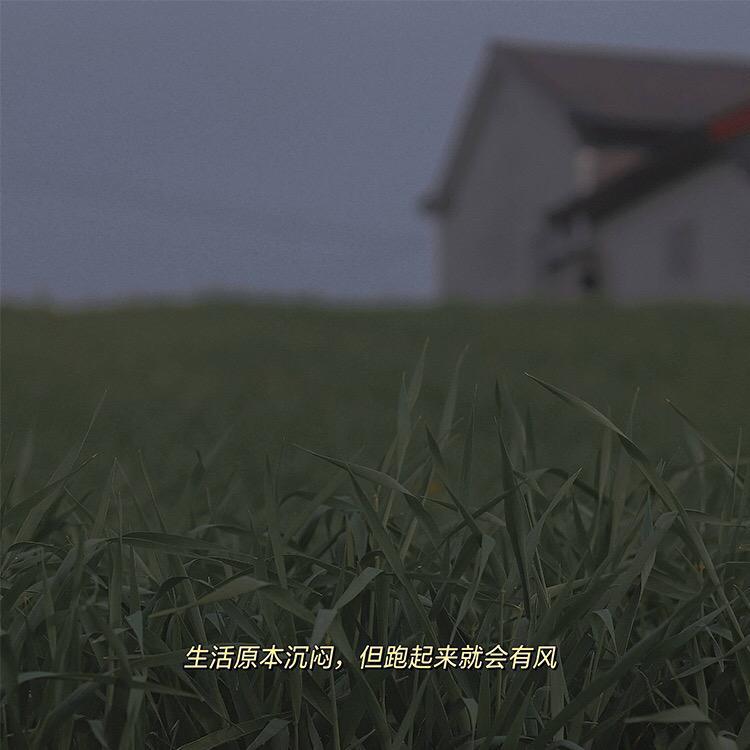 下一站 茶山刘封面