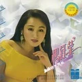 桃花运 (Remix)封面