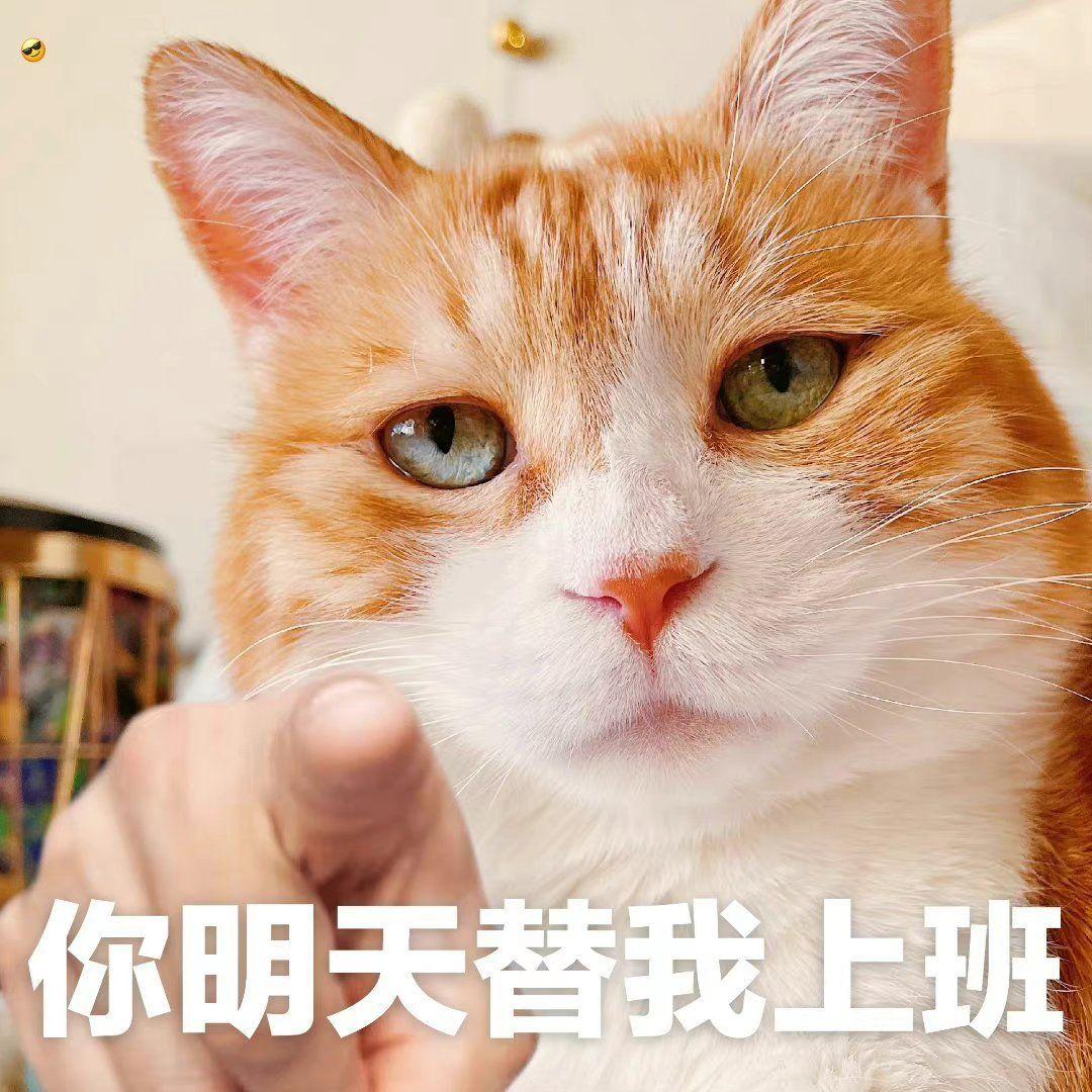 孤独娱乐 - 何同学封面