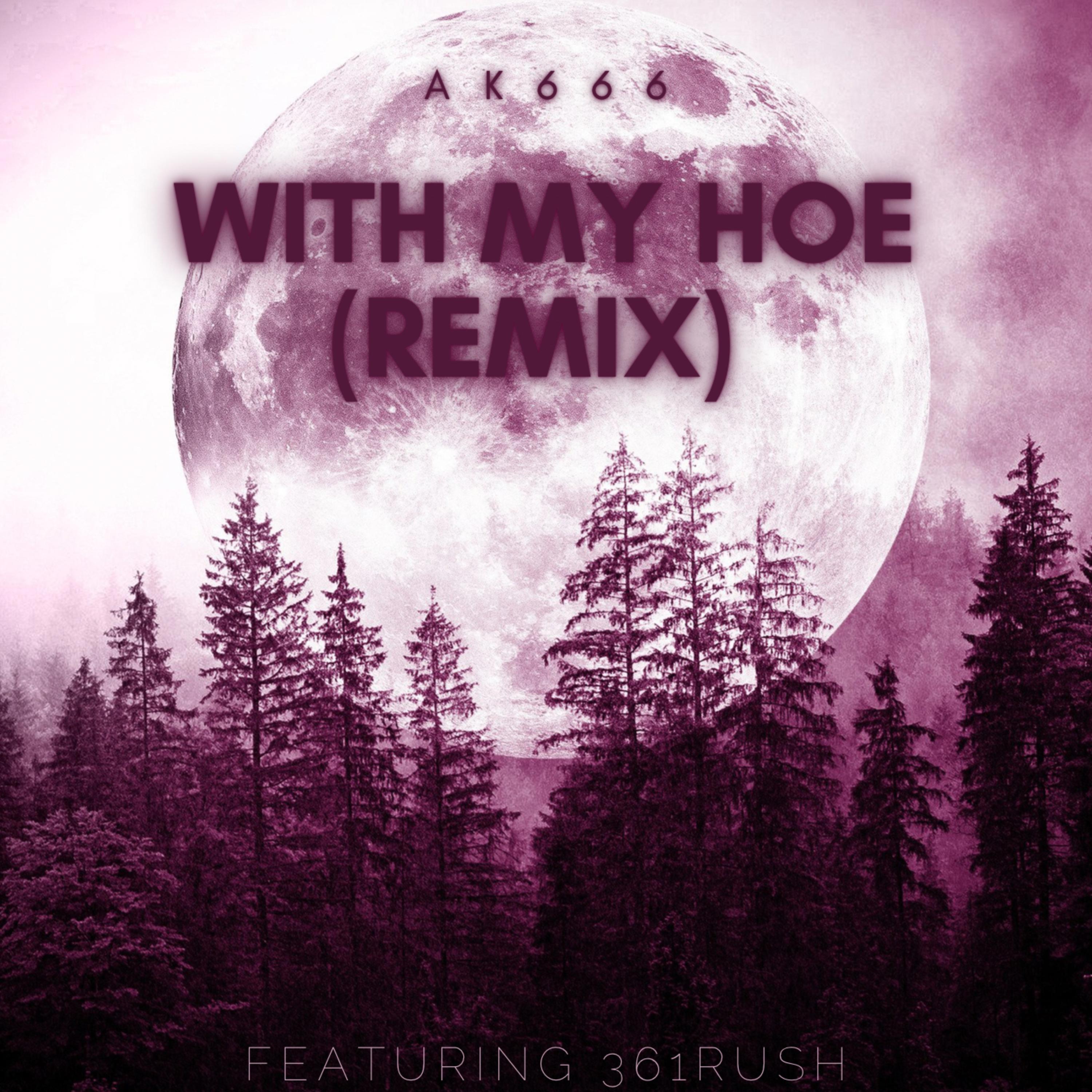 With My Hoe (Remix)