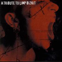 A Tribute To Limp Bizkit