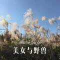 落大雨 (Remix)封面