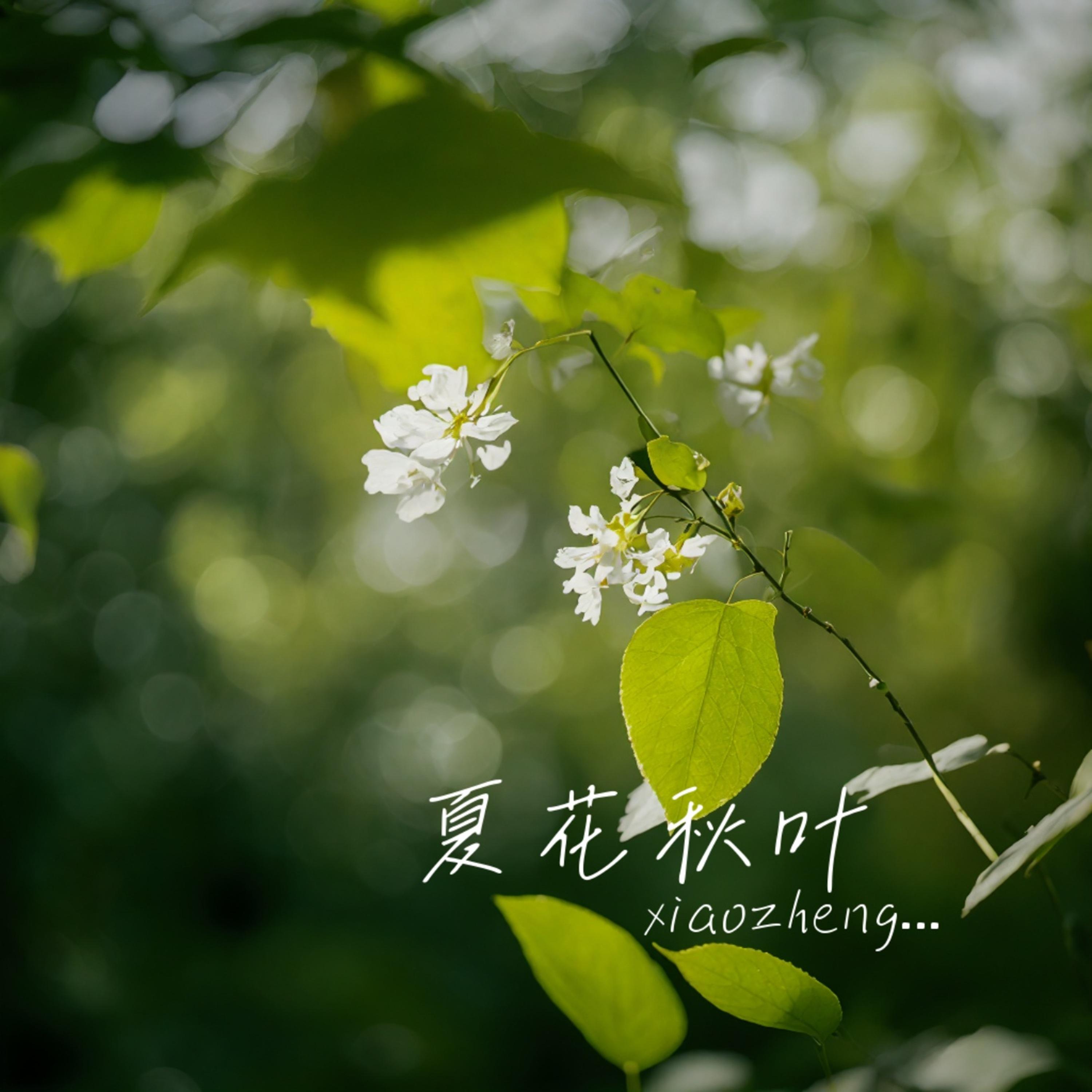 因果轮回封面