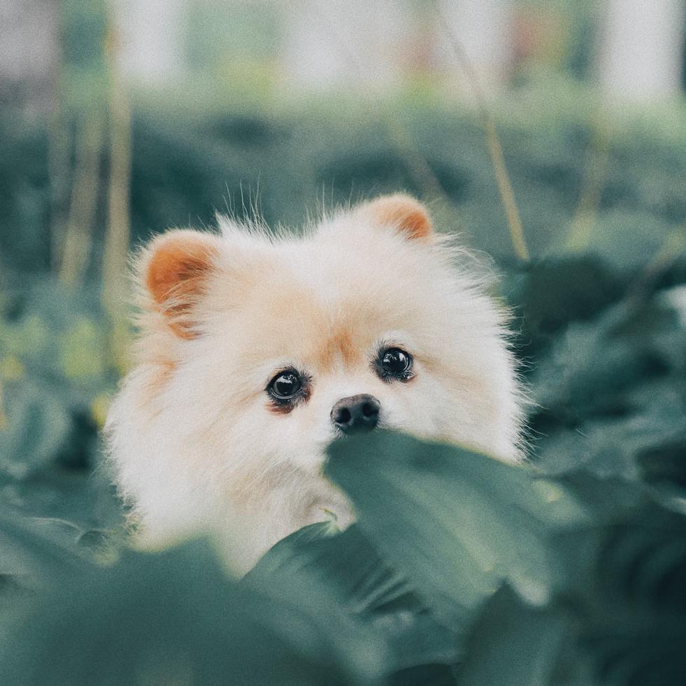 "Soul Talk" - R&B Soul Type Beat