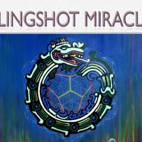 Slingshot Miracle资料,Slingshot Miracle最新歌曲,Slingshot MiracleMV视频,Slingshot Miracle音乐专辑,Slingshot Miracle好听的歌