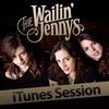 The Wailin' Jennys - Last Goodbye