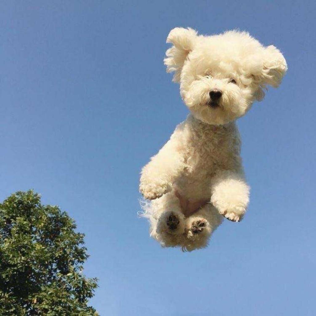 代乖乖的小乐园