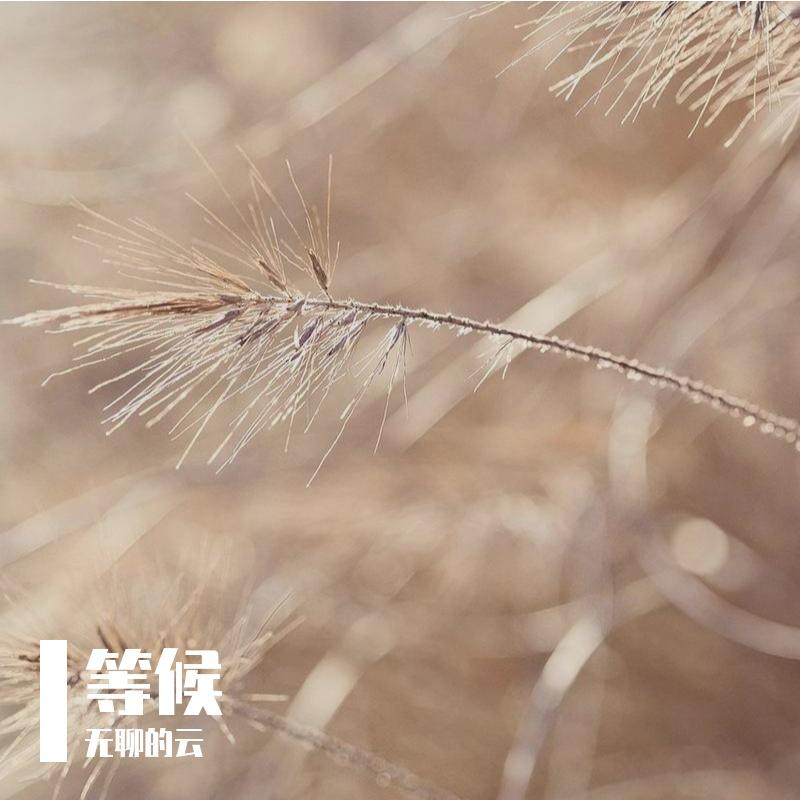 只为你停留-整曲 伴奏 - 无聊的云封面