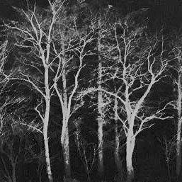 BWV1080(Emerson String Quartet)