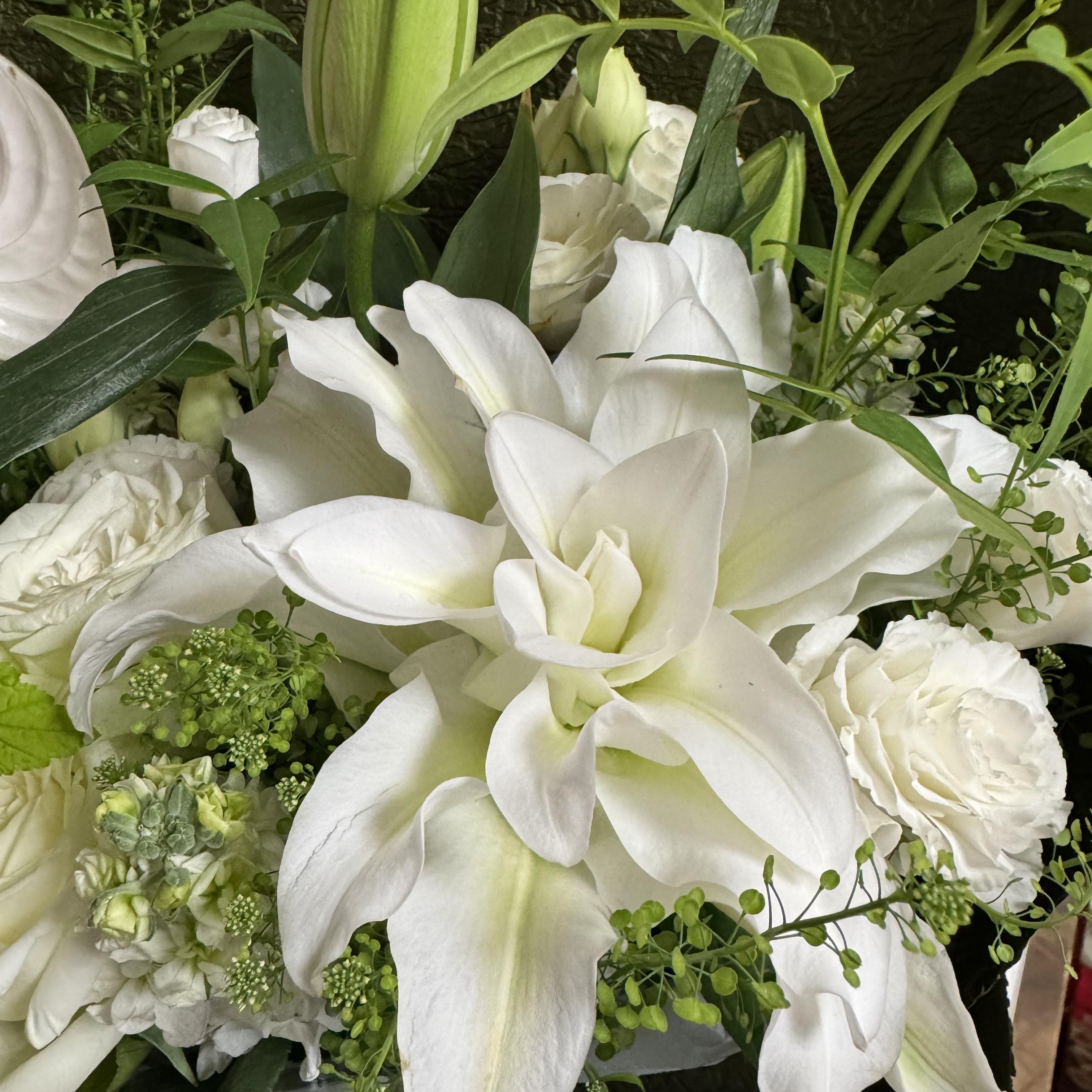 I love you so & Time Machine