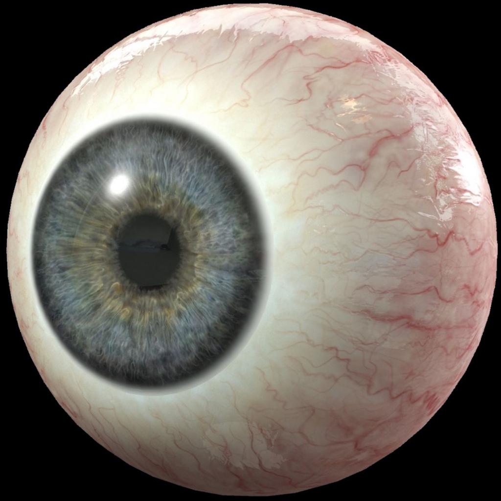 全息狄俄尼索斯