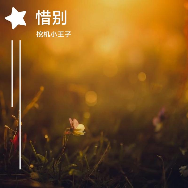 惜别 (21)封面