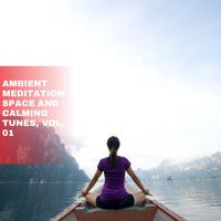 Ambient Meditation Space and Calming Tunes, Vol. 01