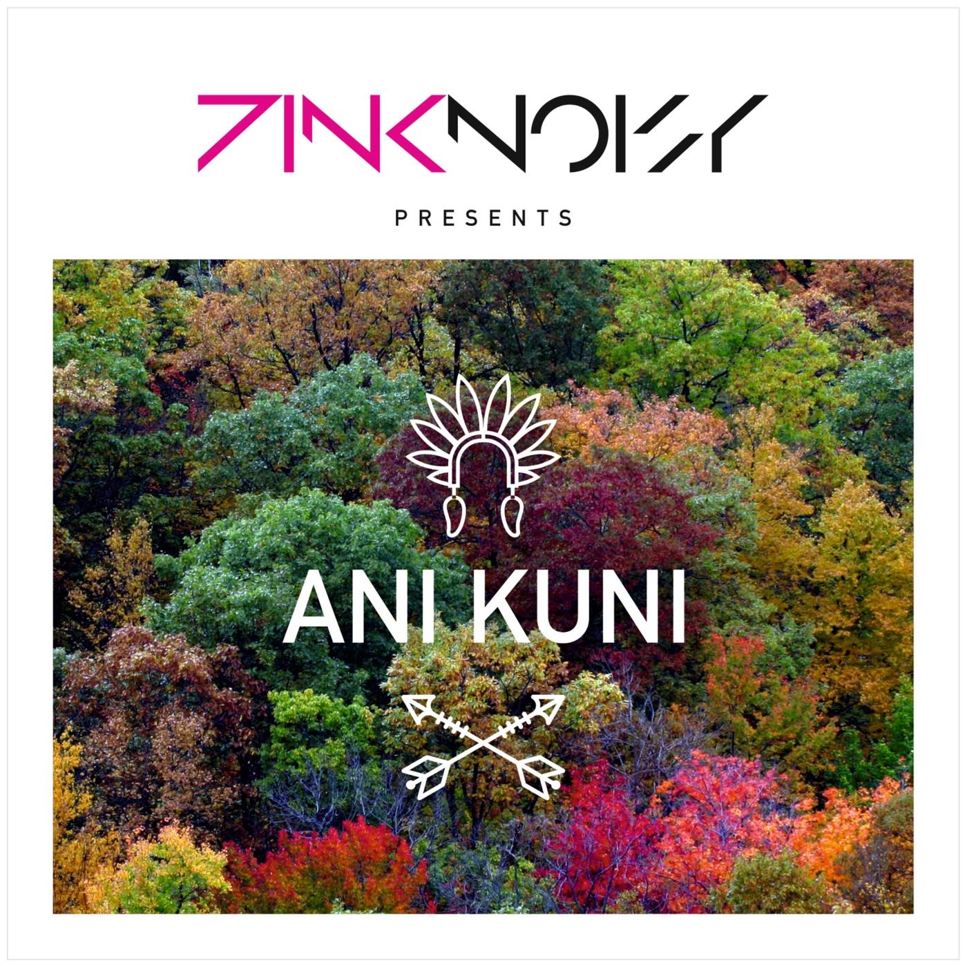 Ani Kuni Pink Noisy 单曲 网易云音乐