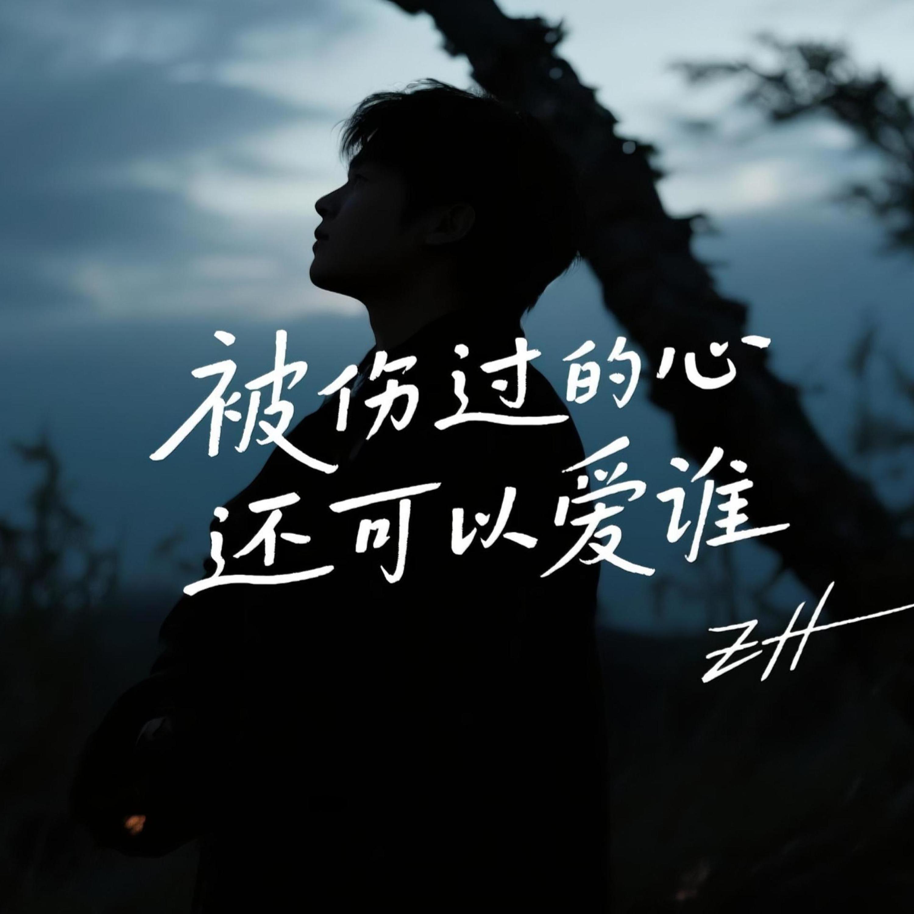 被伤过的心还可以爱谁封面