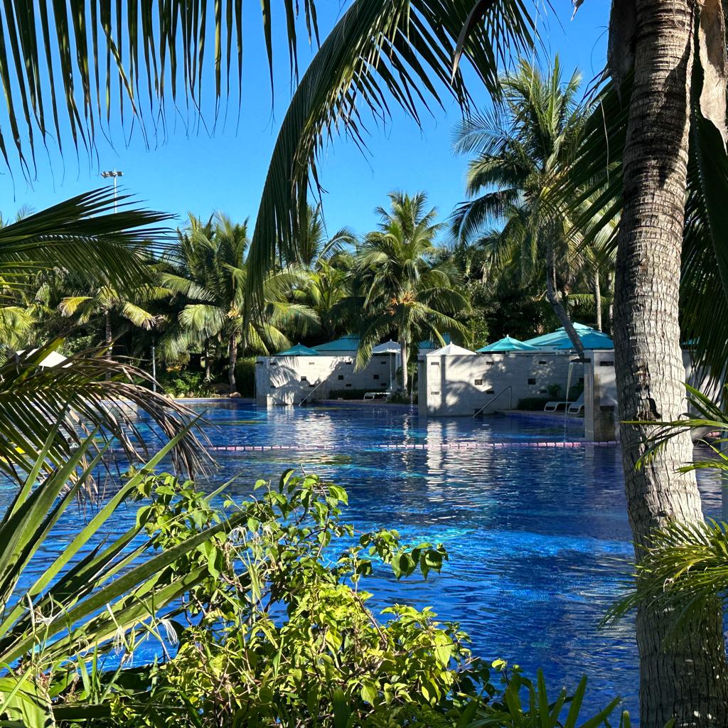 well spring is coming❤️